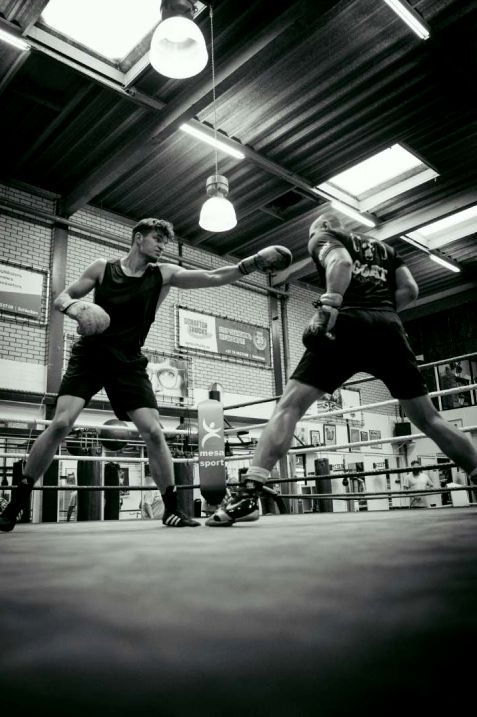 Technique de boxe